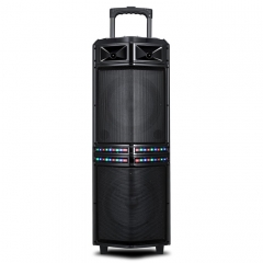 Dual 12Inch  party speaker