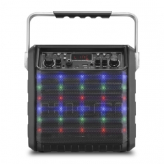 Dual 12Inch  party speaker