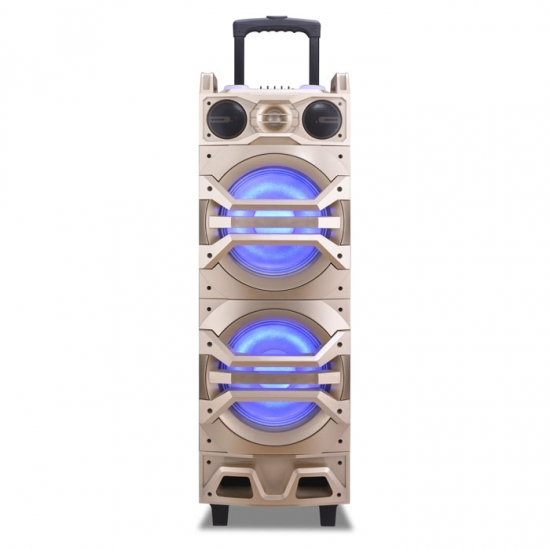 Dual 12Inch  party speaker
