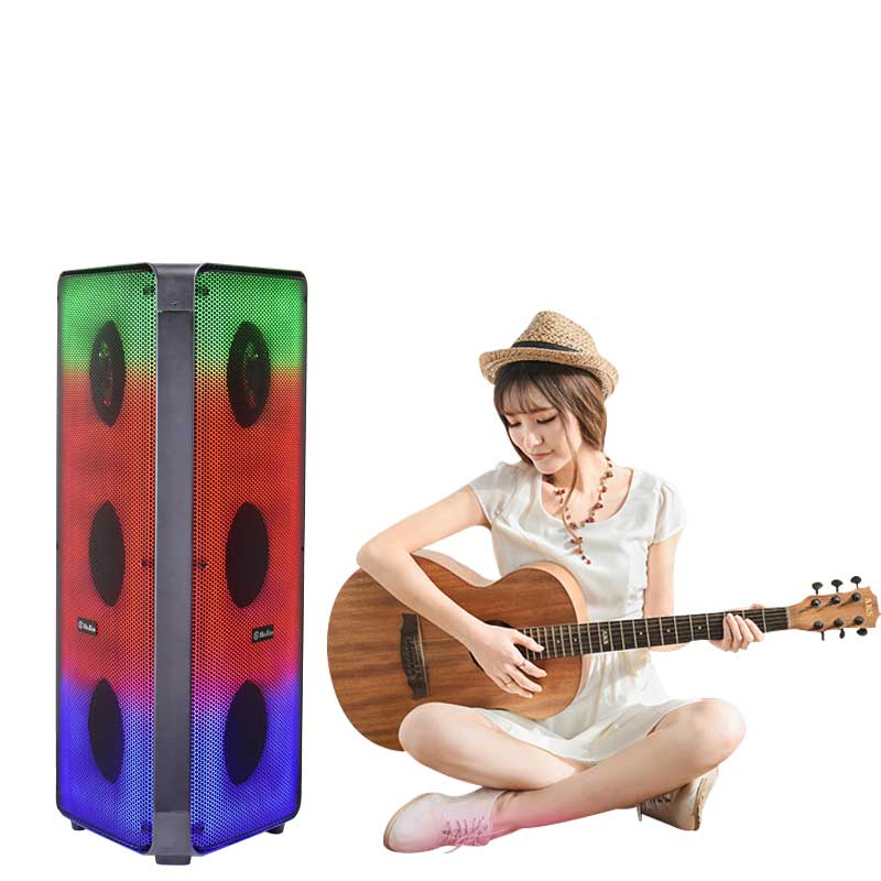 Portable Speaker System