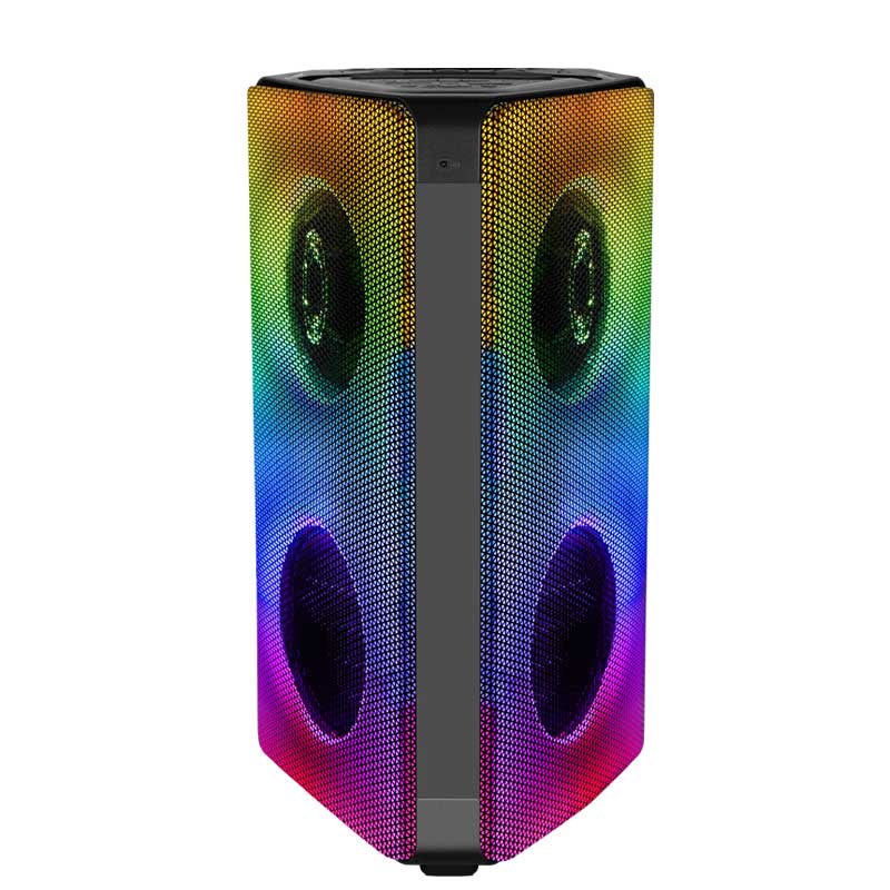 Dual 12Inch  party speaker