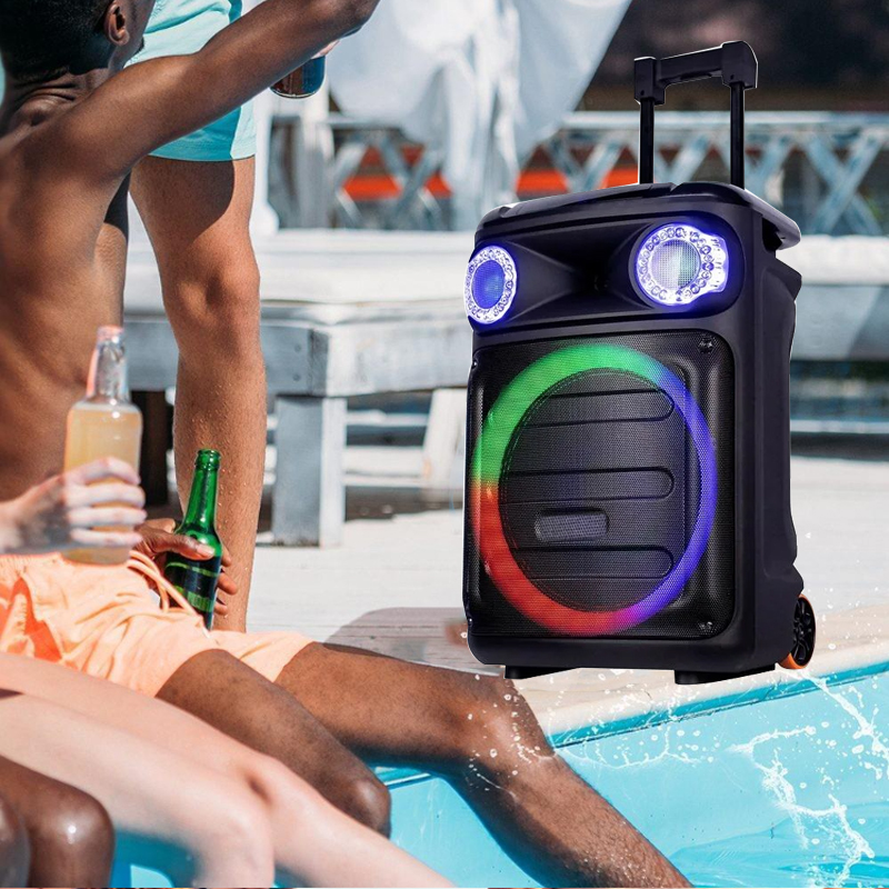 Portable Speaker System