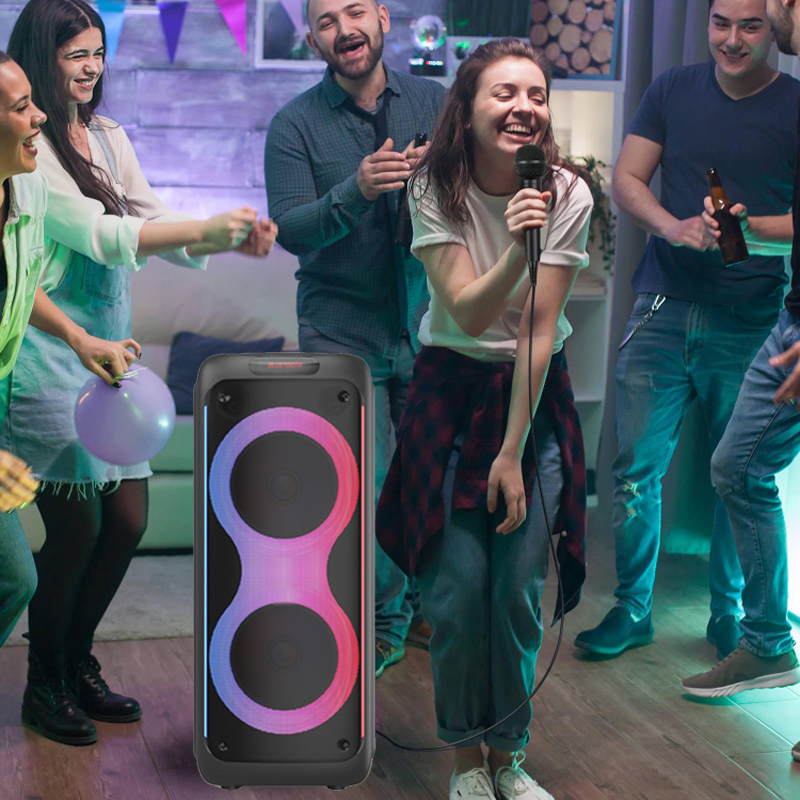 Dual 12Inch  party speaker